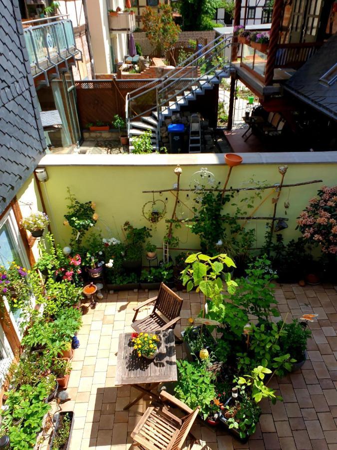 Ferienwohnung Goldstr.7 Quedlinburg Eksteriør billede