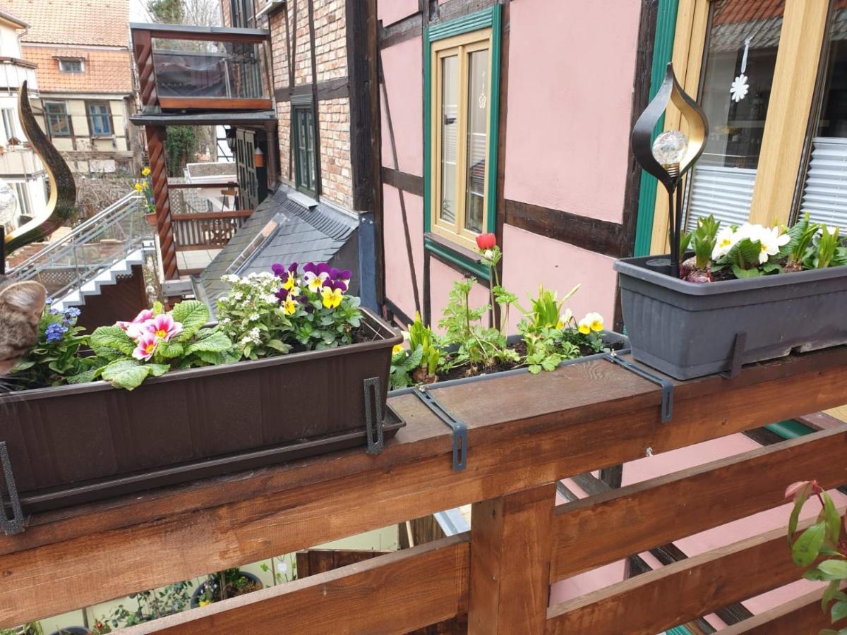 Ferienwohnung Goldstr.7 Quedlinburg Eksteriør billede